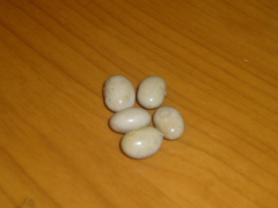 豆2