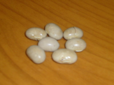 豆4