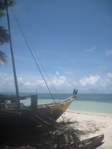 Picture 008