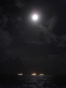 Picture 023