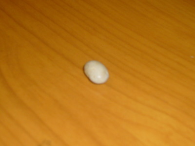 豆1