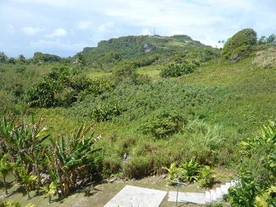 P1060147