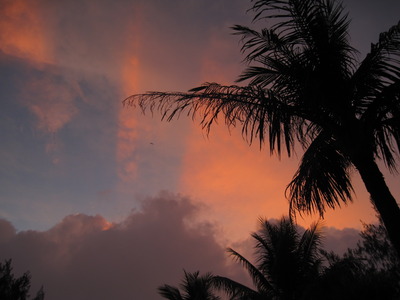 Picture 035