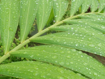P4140024