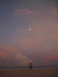 Picture 040
