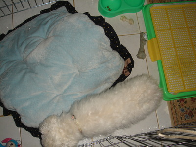 Picture 186