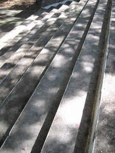 Picture 032