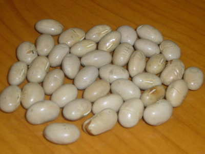 豆5