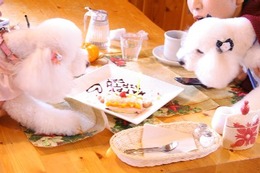 IMG_0860 カノン&レディ