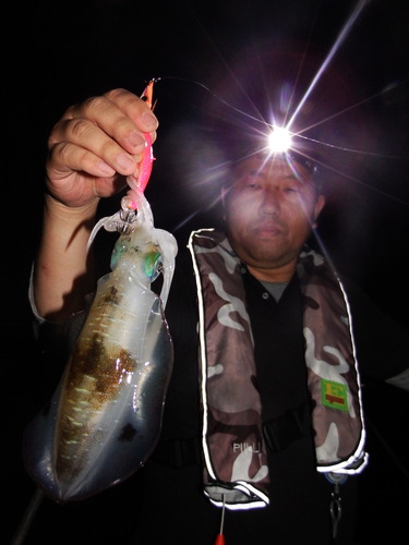 DSCF6799