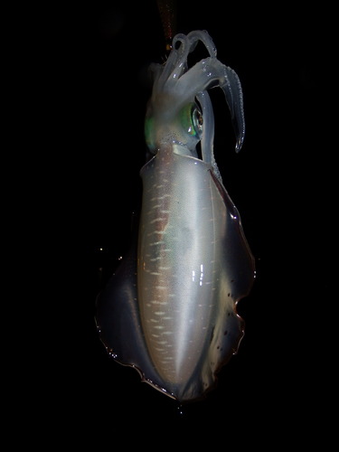 DSCF6977