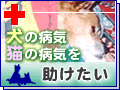 �����µ�ǭ���µ����������