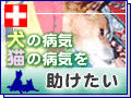 �����µ���ǭ���µ���ͤ��뿷���转��