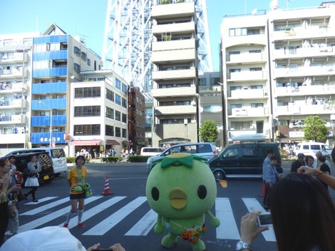 1013押上19