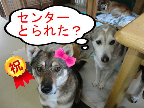 BlogPaint