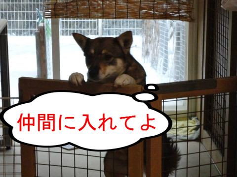 BlogPaint