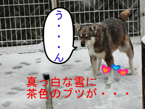 BlogPaint