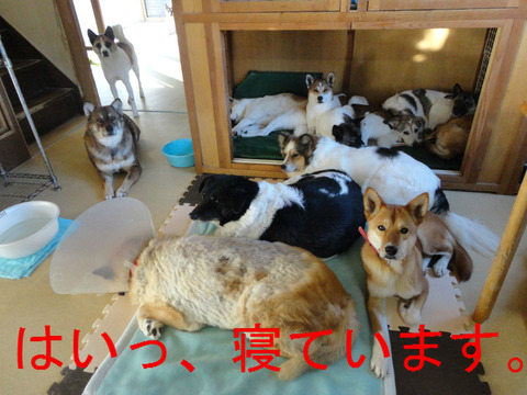BlogPaint
