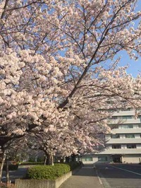 IMG_4450