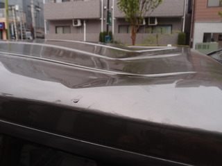 P4204305
