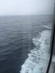 IMG_3163