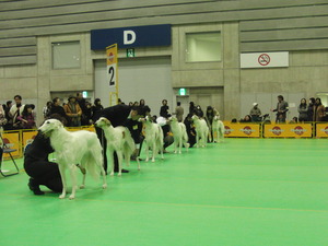 CIMG5740