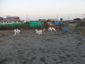 CIMG5833