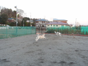 CIMG5815