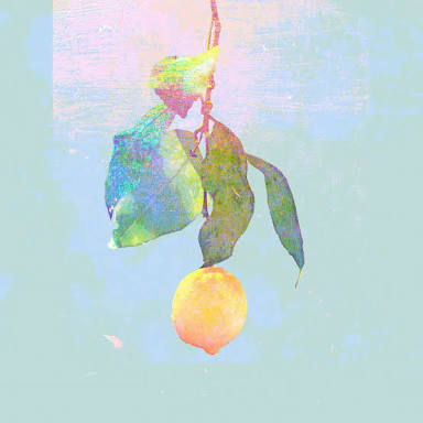 8D88DE88-1D6E-4764-AB8A-E8A7CA4417B7
