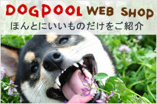 dogpoolwebshop