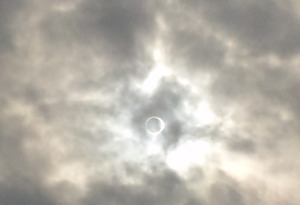 ring-nisshoku