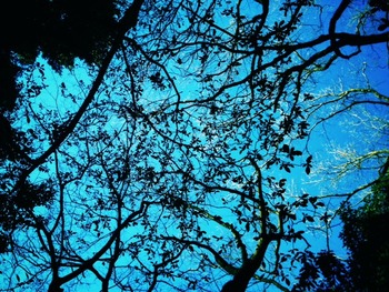 photo (18)