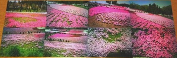 写真 (103)