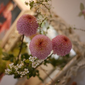 P1240182