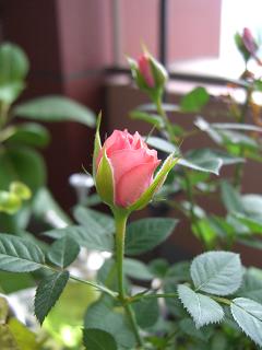 CIMG0878