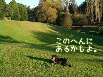 20071002_02