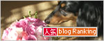 20070924_banner