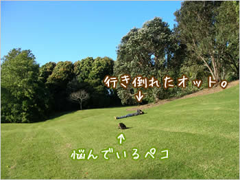 20080104_01