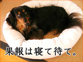 20071003_01