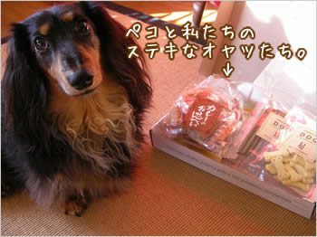20080104_04