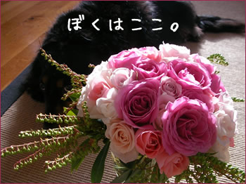 20070924_03