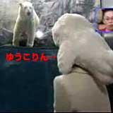 ゆうこりん