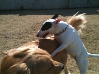 �Ѵ� �� IMG_2079