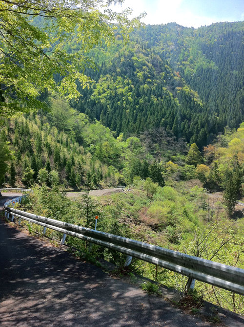 bnguyo68
