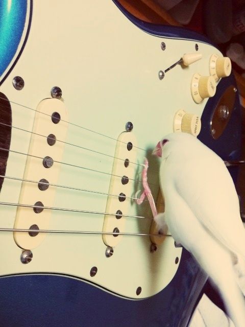 x2_a99a0d7
