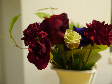P1040222