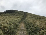 IMG_4818