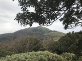 IMG_4816