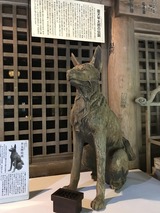 IMG_4520