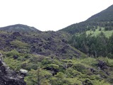 坪庭